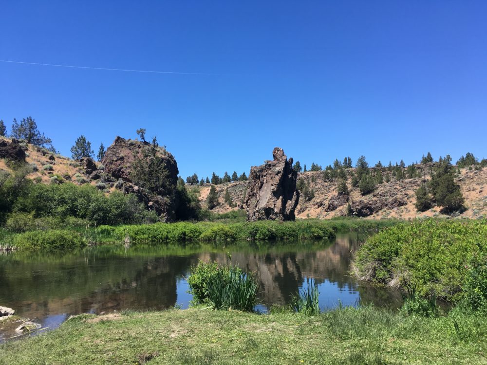 Borden Beck Wildlife Preserve