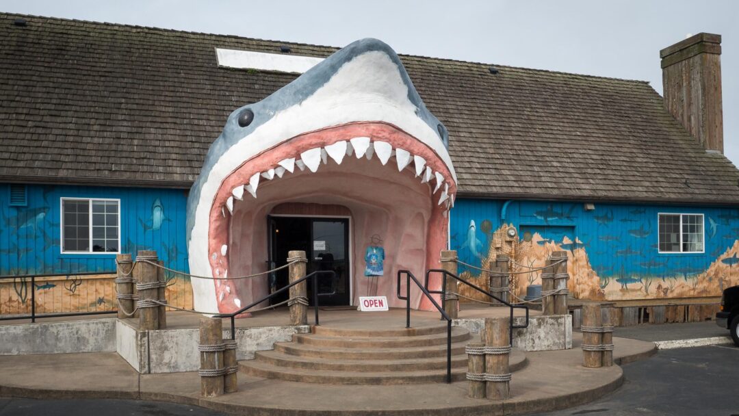 Sharky's Ocean Shores WA