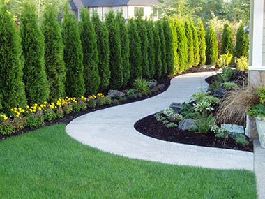 Black Diamond Landscaping