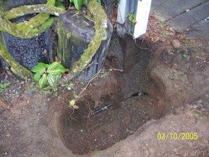 Seattle Leak Detection
