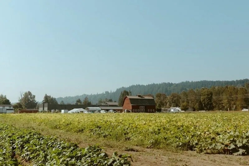 Puyallup Farm