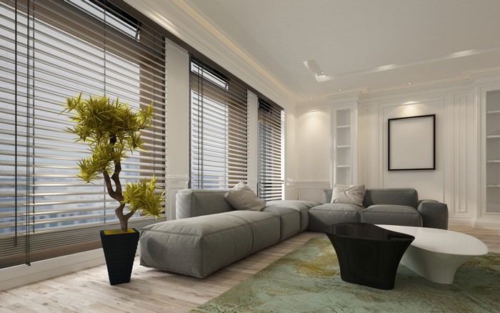 Auburn Interior Window Treatments