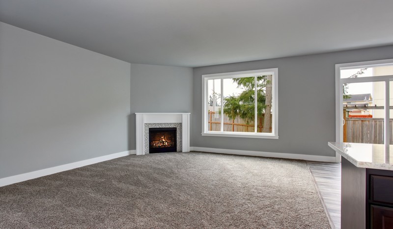 Mercer Island Carpet Cleaner