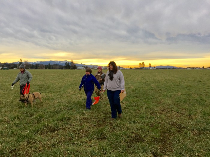 Everett K9 Nose Work Classes