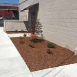 Renton Landscape Design