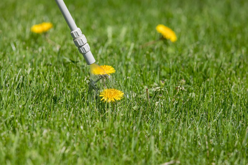 Longview Lawn Fertilization