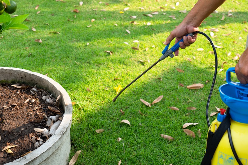 Longview Weed Control