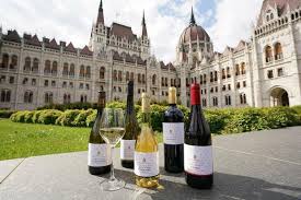 Seattle Wine Tour
