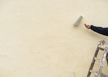Bellevue Painting Service