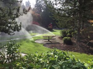 Bellevue Landscaping