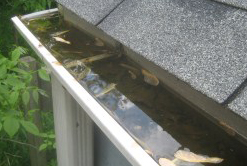 Renton Gutter Cleaners