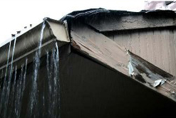 Renton Gutter Cleaning Services