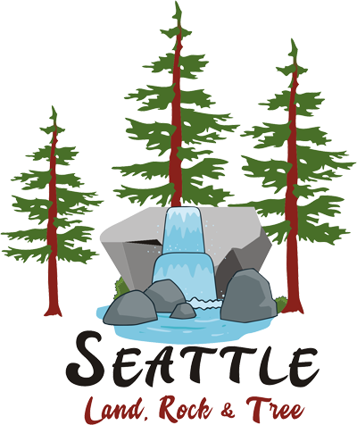 Seattle Land Rock & Tree