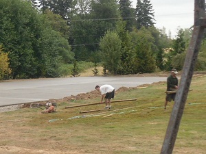 Auburn Concrete Construction Services
