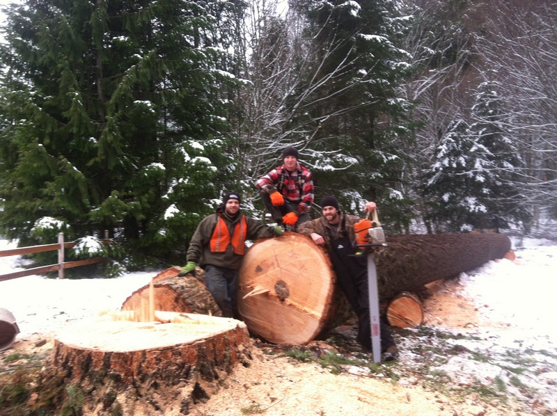Enumclaw Tree Removal