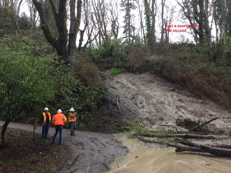 Enumclaw Tree Service
