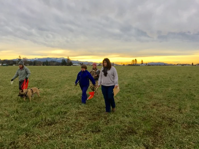 Dog Training Everett