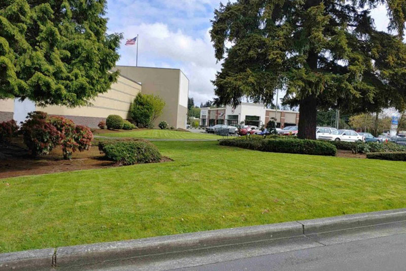 Lawn Care Services Auburn