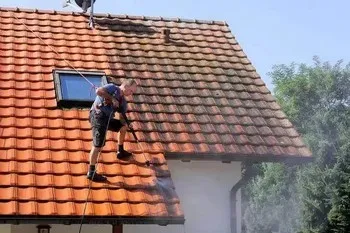 Moss Removal and Roof Treatment Bellevue